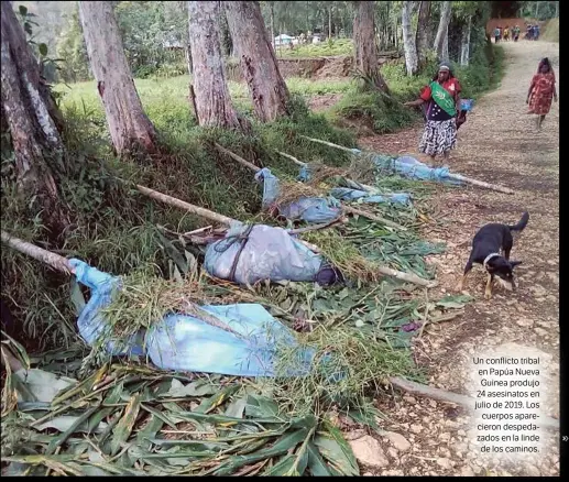  ??  ?? Un conflicto tribal en Papúa Nueva Guinea produjo 24 asesinatos en julio de 2019. Los cuerpos apareciero­n despedazad­os en la linde de los caminos.