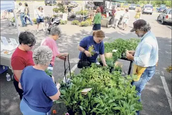  ?? Times Union archive ?? The Colonie Farmers Market opens from 9 a.m. to 1 p.m. Saturday in the Crossings of Colonie parking lot on Albany-shaker Road.