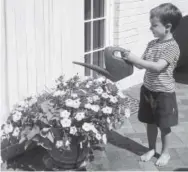  ?? Betty Cahill, Special to The Denver Post ?? Even large containers can dry out at this time of the year. Water twice a day if your pots are drying out quickly.