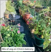  ?? ?? Mix of veg on Chris’s balcony