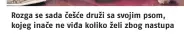  ??  ?? Rozga se sada češće druži sa svojim psom, kojeg inače ne viđa koliko želi zbog nastupa