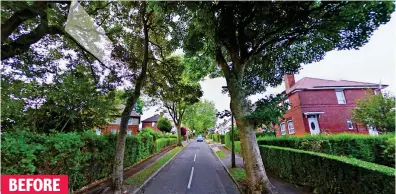  ??  ?? Leafy: Sheffield’s Humphrey Road in 2015, when the street was lined with mature trees BEFORE