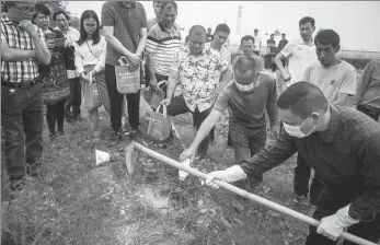  ??  ?? Left: Scientists demonstrat­e how to contain red fire ants by spreading pesticide in Qingyuan, Guangdong province, in April. Sciences’ Institute of Plant Protection, studies red fire ants in Louisiana, United States, with a scientist from the US.