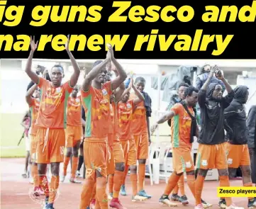  ?? Indeni FC Red Arrows Kabwe Warriors Prison Leopards Zanaco FC Power Dynamos Green Buffaloes Kitwe United Green Eagles. ?? Zesco players