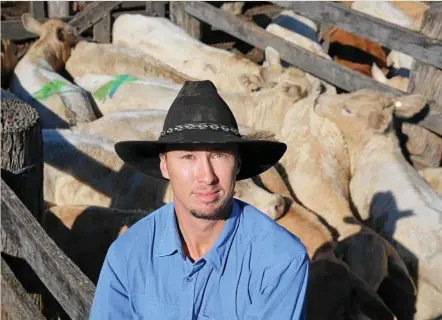  ?? PHOTO: STEPHANIE WHITAKER ?? CATTLE SALE: Jared Trigger, Biggenden, with a pen of charbray heifers sold by the Trigger family for 266.2c/kg.