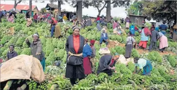  ?? Neil Palmer ?? BANANA FARMERS from central Kenya at a collection center. Providing a market for excess produce not only prevents waste, but also ensures the products become a source of income, rather than a burden.