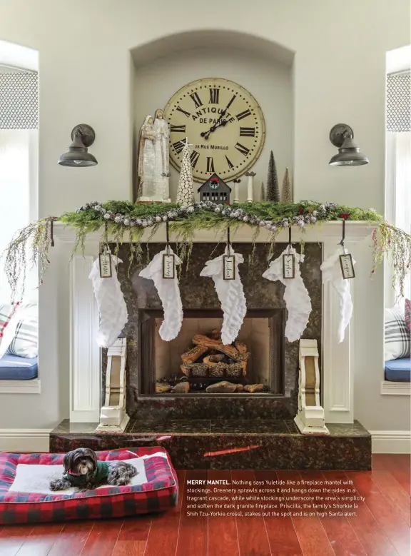  ??  ?? MERRY MANTEL. Nothing says Yuletide like a fireplace mantel with stockings. Greenery sprawls across it and hangs down the sides in a fragrant cascade, while white stockings underscore the area’s simplicity and soften the dark granite fireplace. Priscilla, the family’s Shorkie (a Shih Tzu-Yorkie cross), stakes out the spot and is on high Santa alert.