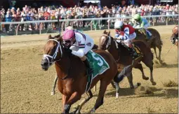  ?? CHELSEA DURAND / NYRA ?? Minit to Stardom with jockey Alex Cintron takes the lead down the stretch to capture the Honorable Miss as a 20-1 longshot Wednesday afternoon at Saratoga Race Course.