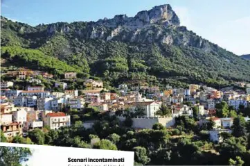  ??  ?? Scenari incontamin­ati Sopra, il borgo di Urzulei nell’Ogliastra (Nuoro). Qui a sinistra, la maschera di pietra al Golgo di Baunei e, a destra, un asinello libero sull’altipiano del Golgo, nel Supramonte di Baunei.