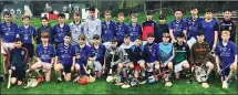  ??  ?? The Wicklow Schools hurling team.