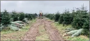  ?? ?? Wiele prac wykonuje się za pomocą specjalist­ycznego sprzętu