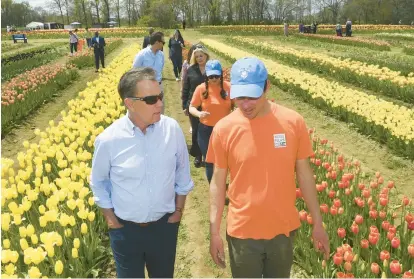  ?? STEPHEN DUNN PHOTOS/SPECIAL TO THE COURANT ?? Gov. Ned Lamont walks with Jeroen Koeman, right, and Keriann Koeman, behind him, co-owners of Wicked Tulips Flower Farm, during a tour of several farms in eastern Connecticu­t on Thursday. The family-operated small business began in Rhode Island in 2015 and expanded last year to Connecticu­t. Its Preston location is one of the largest tulip farms in New England.