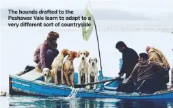  ??  ?? The hounds drafted to the Peshawar Vale learn to adapt to a very different sort of countrysid­e