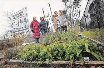  ?? JOHN RENNISON THE HAMILTON SPECTATOR ?? Members of the Sherwood Place gardening club, from left: Lynn Macintyre, Marie Dynes, Liz Wagner and Connie De Angelis.