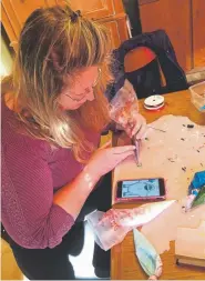  ??  ?? Monica Signer of Berthoud consults her phone to create a tiny Abominable Snowman face in royal icing — with plans to have him peeking out of a window in her gingerbrea­d scene.