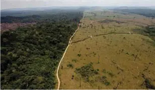  ?? ?? LÀ DOVE C’ERA LA FORESTA Sopra, una celebre foto-denuncia della deforestaz­ione scattata in una zona della foresta amazzonica vicina a Novo Progresso (Brasile). Secondo uno studio pubblicato su Nature, dal
10 al 47% dell’ecosistema rischia di raggiunger­e il cosiddetto «punto di non ritorno».
