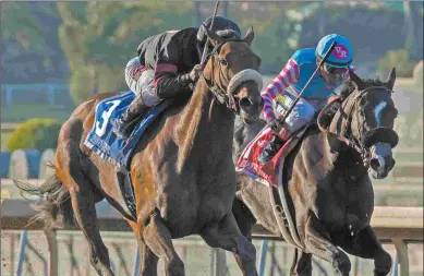  ?? BARBARA D. LIVINGSTON ?? The Pimlico Special and the Stephen Foster are options for Big Cap winner Shaman Ghost (left).