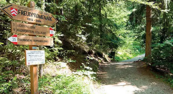  ??  ?? Freudprome­nade È il sentiero nell’Altopiano del Renon che collega Soprabolza­no e Collalbo in Alto Adige, due località, da sempre calamita di turismo estivo