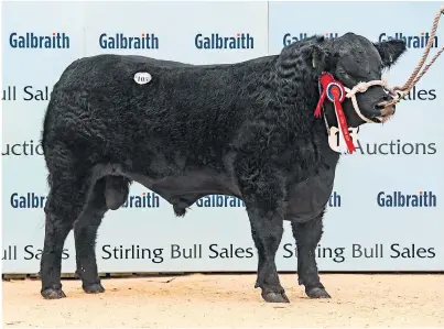  ??  ?? JUNIOR CHAMPION: Brailes Fabulous from Oxfordshir­e topped the bull trade when he sold for 12,000gn