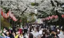  ??  ?? Crowds of people enjoy the cherry blossom in Tokyo. Photograph: Eugene Hoshiko/