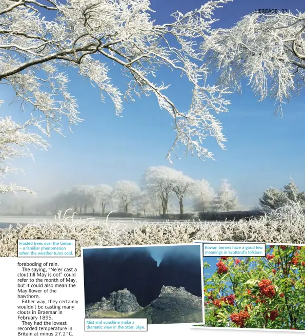  ?? ?? Frosted trees over the Gelvan – a familiar phenomenon when the weather turns cold.
Mist and sunshine make a dramatic view in the Storr, Skye.
Rowan berries have a good few meanings in Scotland’s folklore.