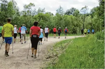  ?? Foto: Anneliese Poppel ?? Die Nordic Walking Tour durch den Landkreis Günzburg macht heuer wieder Station in Reisensbur­g.