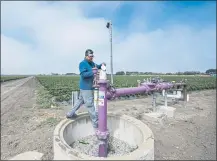  ?? DOUG DURAN STAFF PHOTOGRAPH­ER ?? Leonard Villanueva, meter program coordinato­r for the Pajaro Valley Water Management Agency, looks at a meter used to measure recycled water for irrigation in a strawberry field in Moss Landing on June 29.