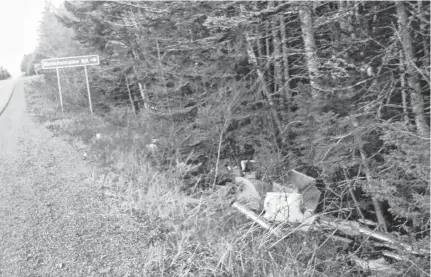  ??  ?? Garbage dumped beside West Porters Lake Road has upset area residents.