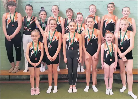  ??  ?? Members of Hinckley Trampoline Club who came away from a tournament in Market Harborough with a haul of medals