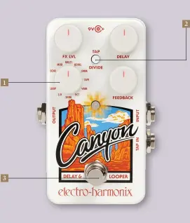  ??  ?? 1 3 2 The footswitch bypasses the effect and it can also do tap tempo, but you can disable that if dual operation gets too confusing