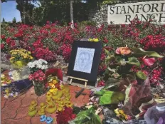  ?? AP PHOTO/SOPHIE AUSTIN ?? A memorial near the Stanford Ranch Plaza in Rocklin, Calif., on Tuesday that honors Casey Rivara, a man who died after being struck by a car last Thursday while helping a mama duck and her ducklings cross the street.