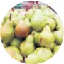  ??  ?? kilograma krušaka preko noći su ubrali i ukrali nepoznati lopovi iz jednog voćnjaka u Baranji i time 30-godišnjem vlasniku nanijeli štetu od oko 25.000 kuna Kruške su ukradene preko noći