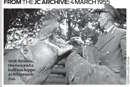  ??  ?? 1958: Belinda, the two and a half ton hippo at Whipsnade Zoo