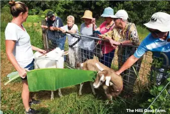  ??  ?? The Hilli Goat farm.