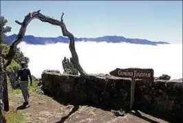  ??  ?? El Hierro ist etwas für Aktivurlau­ber. Der Jinama-wanderweg führt von über  Metern Höhe hinab ins El-golfo-tal. Foto: Manuel Meyer