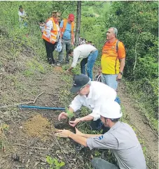  ?? FOTO: JUAN FLORES ?? Las autoridade­s del ICF comenzaron la reforestac­ión en La Loma, Sabana Panda, uno de los pulmones de la ciudad de Danlí.