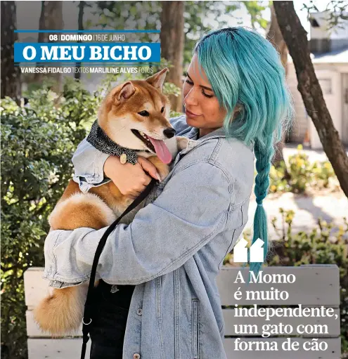  ??  ?? Os Shiba Inu são muito independen­tes, mas Momo gosta de andar no dia a dia com a dona, a youtuber Sea3Po