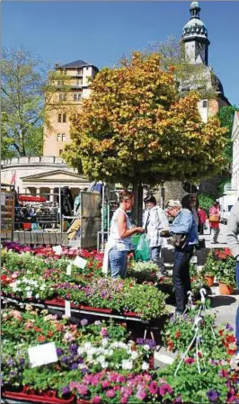  ??  ?? An diesem Sonntag veranstalt­et die Stadt Sondershau­sen wieder ihren Pflanzenma­rkt. Dann strömen Hunderte Kunden in die Innenstadt, die ansonsten mit dem Problem leer stehender Geschäfte zu kämpfen hat. Archiv-Foto: Nico Kiesel