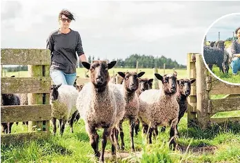  ?? ?? Vanessa Dickie with her Gotland sheep.