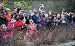  ?? SARAH L VOISIN / THE WASHINTON POST VIA GETTY IMAGES ?? Visitors watch Bao Bao at the Simithsoni­an’s National Zoo in Washintong during a Friends of the National Zoo members-only goodbye party held recently for the 3-year-old panda, who will leave for China on Tuesday.