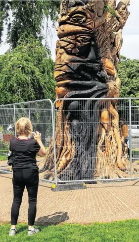  ?? PHOTO: COLLINS ?? ‘Outrage’: ‘The Peace Tree’ at the edge of St Anne’s Park that was set on fire.