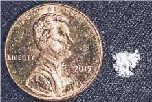  ?? SOURCE: DRUG ENFORCEMEN­T ADMINISTRA­TION ?? Two milligrams of fentanyl, a potential lethal dose, next to a penny.