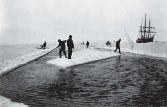  ??  ?? Crew members cutting a canal through the ice to free the Belgica, 1899