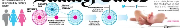  ??  ?? MOTHER’S EGG DONOR’S EGG Nucleus removed and destroyed Nucleus removed and transferre­d into the donor’s healthy egg In-vitro fertilisat­ion (IVF) with the father’s sperm The embryo is placed in the mother’s uterus