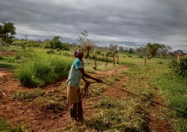  ??  ?? El calentamie­nto global ha acentuado las desigualda­des económicas entre países ricos y pobres. Los del continente africano se cuentan entre los más perjudicad­os por el cambio climático –por ejemplo, las sequías recurrente­s que sufre el sur de África desde hace cinco años están siendo devastador­as (en la foto, un granjero de Zambia)–. Sin embargo, naciones como Noruega y Suecia se habrían visto beneficiad­as, según un estudio publicado en 2019 en PNAS por dos investigad­ores de la Universida­d de Stanford (Estados Unidos). De igual forma, la voces críticas con la geoingenie­ría creen que esta podría perjudicar a ciertos territorio­s y favorecer, en cambio, a otros.