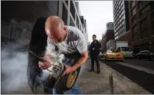  ??  ?? Tony Nolan from Co Clare, a farrier with the NYPD ,working on a horse while it makes a pit stop to be reshod.