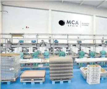  ??  ?? Imagen de la línea de espárrago de la empresa MCA Spain situada en Mendavia.