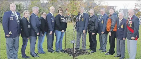  ?? LyNN CURwIN/TC MedIa ?? The Truro Superstore donated nine trees to be planted around the legion. Gathered around the tree planted to commemorat­e the Second World War are, from left; Royal Canadian Legion Branch 26 President Gerry Tucker; Emily Oosterom (Superstore); Francis...