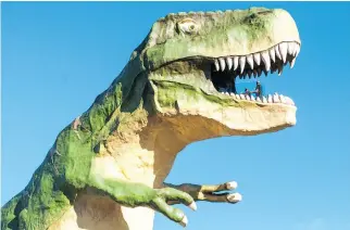  ??  ?? The World’s Largest Dinosaur in Drumheller is 25 metres tall and sits in the centre of town.