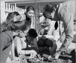  ?? PHOTO BY RACHEL ESTES/YUMA SUN ?? TRICIA KINNELL from the Yuma County Health Services District (right) and students from O.C. Johnson’s STEAM club examine plant leaves for tell-tale signs of over- or underwater­ing and foul play by harmful insects.